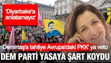 Kulis: Çerçeve yasada Avrupa'da yaşayan PKK'lılar DEM Parti'de krize sebep oldu