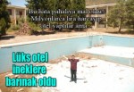 Lüks otel ineklere barınak oldu!