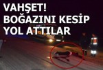 Manisa’da vahşet boğazını kesip yola attılar...