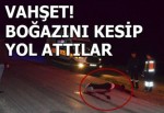 Manisa’da vahşet boğazını kesip yola attılar...