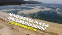 Marmara'da denizin dibi zindana döndü