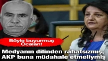 Medyanın dilinden rahatsızmış, AKP buna müdahale etmeliymiş... Böyle buyurmuş Öcalan!