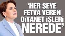 Meral Akşener: Her şeye fetva veren Diyanet İşleri nerede