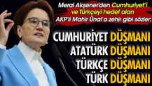 Meral Akşener'den AKP'li Mahir Ünal'a zehir gibi sözler: