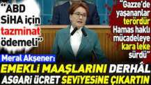 Meral Akşener'den emekli maaşı tepkisi: Derhal asgari ücret seviyesine çıkartın