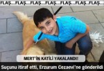 Mert Aydın'ın katili yakalandı!