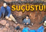 Milas'ta kaçak diaspor kazısına suçüstü yapıldı