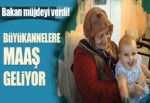 Müezzinoğlu: Büyükannelere bebek bakım parası verilecek