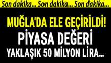 Muğla'da ele geçirildi! Piyasa değeri yaklaşık 50 milyon lira…