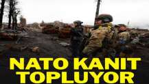 NATO, Ukrayna’daki ‘savaş suçları’ hakkında kanıt topluyor