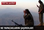 Ne yapacaklarını şaşırdılar