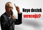 Neye destek vereceğiz?