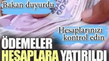 Ödemeler hesaplara yatırıldı. Bakan duyurdu