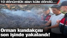Orman kundakçısı son işinde yakalandı! 10 dönümlük alan küle döndü…