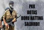 PKK Doğalgaz Boru Hattına Saldırdı