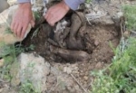 PKK’lılara ait toplu mezar iddiası