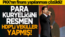 PKK’nın finans yapılanması çözüldü! Para kuryeliğini HDP’li vekiller yapmış!