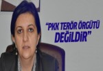 'PKK terör örgütü değildir''