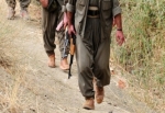 PKK'da Nizamettin Taş ve Osman Öcalan'a suikast planı