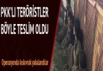 PKK'lı teröristler teslim oldu