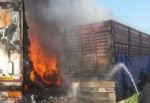 PKK'lılar yol kesip araçları yaktı