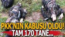 PKK'nın kabusu oldu! Tam 170 tane...