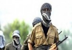 PKK'nın kaçırdığı muhtar serbest