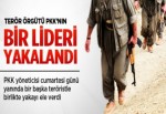 PKK'nın liderlerinden biri daha yakalandı