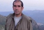 PKK'nın üst düzey yöneticisi öldürüldü