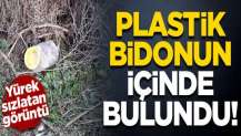 Plastik bidon içinde bulundu! Yürek sızlatan görüntü