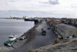 Sahte belge 16 gemi personelini tutuklattı