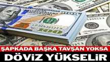 Şapkada başka tavşan yoksa döviz yükselir