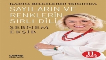 Sayılar ve Renkler Davranışlarımızı Nasıl Yönlendiriyor?