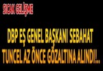Sebahat Tuncel gözaltına alındı