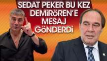 Sedat Peker bu kez Demirören'e mesaj gönderdi