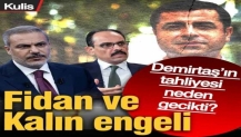Selahattin Demirtaş’ın tahliyesi neden gecikti? İbrahim Kalın ve Hakan Fidan engeli