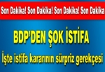 Şerafettin Halis BDP'den istifa etti