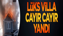 Silivri'de lüks villa cayır cayır yandı