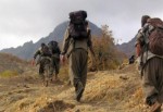 Şırnak’ta 5 PKK’lı teslim oldu