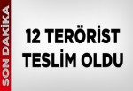 Şırnak'ta 12 terörist teslim oldu