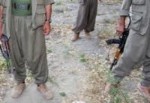 Şırnak'ta 3 PKK'lı Teslim Oldu