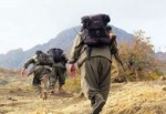 Şırnak'ta 9 PKK'lı teslim oldu