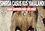 Suriye sınırında casus kuş.