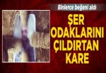 Teröristbaşı Abdullah Öcalan'ın fotoğrafı ayaklar altında