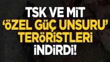 TSK ve MİT'in çalışmasıyla özel gün unsuru PKK'lılar öldürüldü
