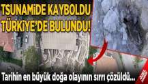 Tsunamide kayboldu, Türkiye'de bulundu!