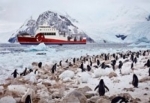 Türkiye Antarktika’da üs kuruyor, yer penguenler adası