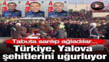 Türkiye, Yalova şehitlerini uğurluyor! Tabuta sarılıp ağladılar...