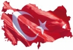 Türkiye'ye 248 beyin geri döndü