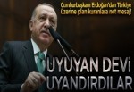 Uyuyan devi uyandırdılar.